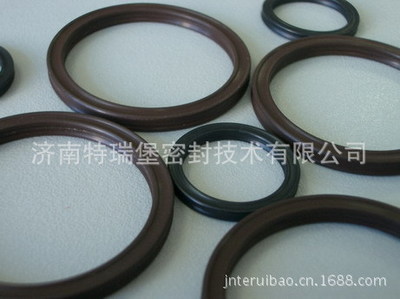 進口橡膠星型圈與氟膠密型圈 濟南特瑞堡密封技術(shù)的優(yōu)勢與應用